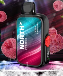 NORTH DISPOSABLE 12000 FROZEN RASPBERRY