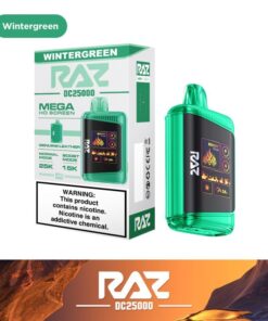 RAZ MEGA BAR 25000 DISPOSABLE WINTERGREEN
