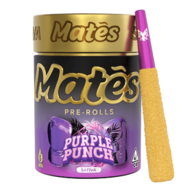 MATES PRE ROLL 5CT THCA SATIVA PURPLE PUNCH 3G TOTAL