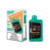 RAZ BAR 25000 DISPOSABLE LTX WINTERGREEN