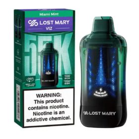 LOST MARY VIZ DISPOSABLE 55K DISPOSABLE 360LED MIAMI MINT